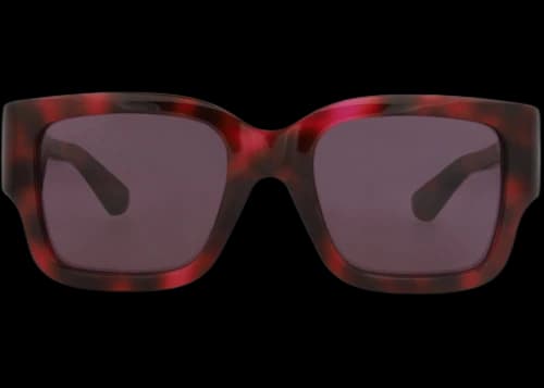 Gucci Square-Frame Recycled Acetate Sunglasses Havana Havana Violet (GG1663S-30015451-003)
