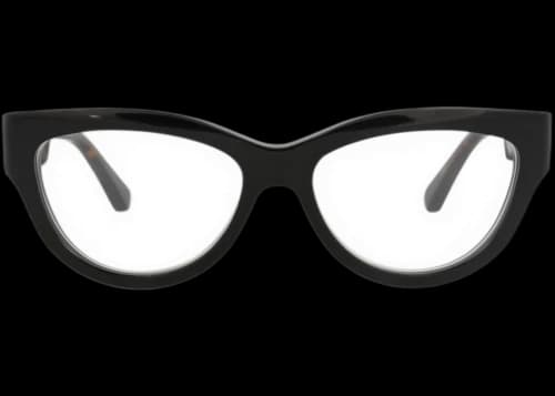 Gucci Cat Eye-Frame Recycled Acetate Optical Frames Black Havana Transparent (GG1665O-30015453-005)