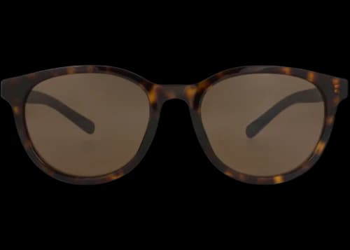Gucci Round-Frame Recycled Acetate Sunglasses Havana Havana Brown (GG1674SK-30015465-002)