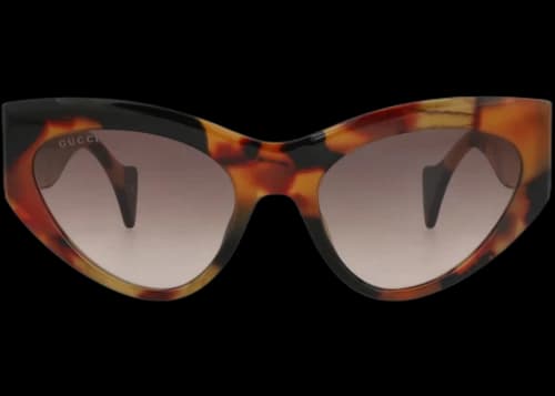 Gucci Cat Eye-Frame Recycled Acetate Sunglasses Havana Havana Brown (GG1704S-30015493-002)