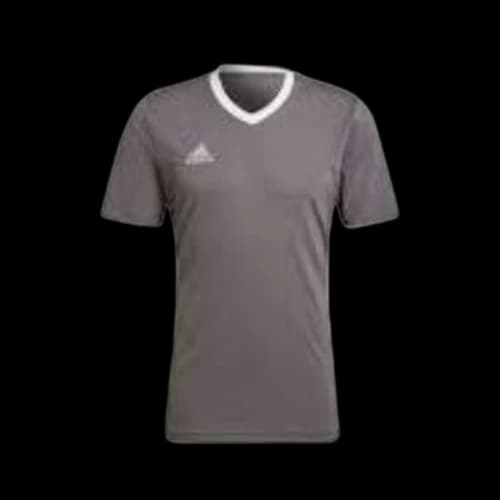 adidas Entrada 22 Jersey Team Grey Four