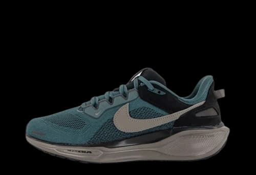 Nike Air Zoom Pegasus 41 SP Faded Spruce