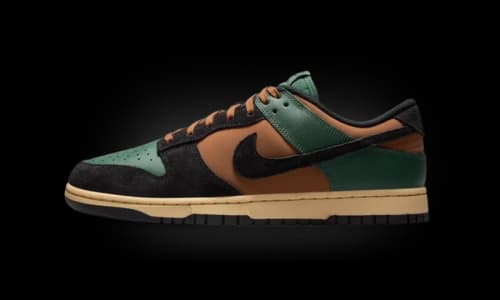 Nike Dunk Low Retro Beef and Broccoli