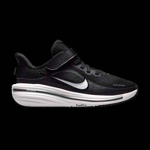 Nike Winflo 12 PS 'Black Dark Smoke Grey'