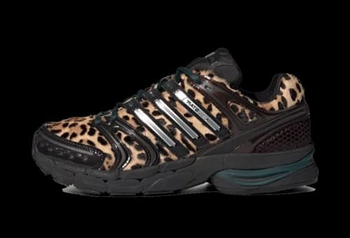 adidas Adistar Control 5 Leopard Aurora Ivy Black (Women's)
