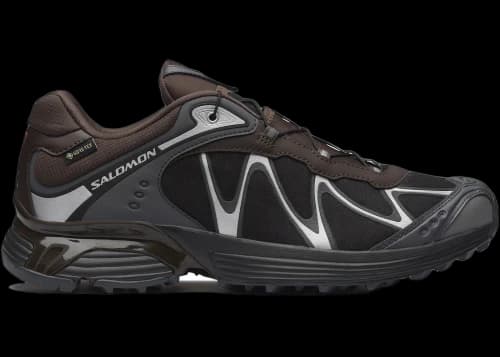 Salomon XT-Whisper Gore-Tex Delicioso Asphalt Castlerock