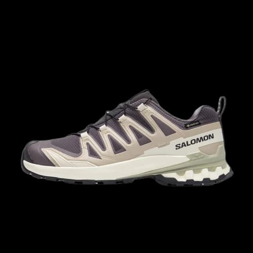 Salomon XA Pro 3D V9 GORE-TEX 'Nine Iron Alfalfa' (Women's)