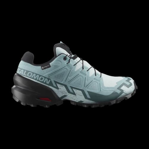 Salomon Speedcross 6 GORE-TEX 'Ballad Blue' (Women's)