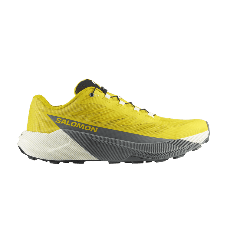 Salomon Pulsar Incaberry Sedona Sage