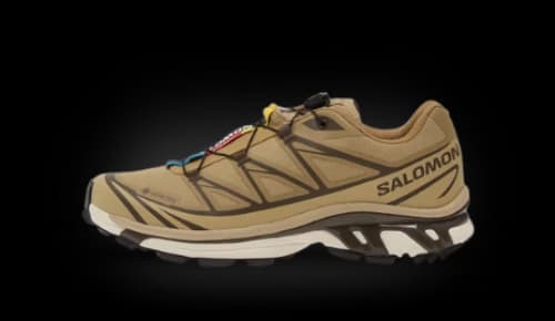 Salomon XT-6 Gore-Tex Kelp Wren Safari