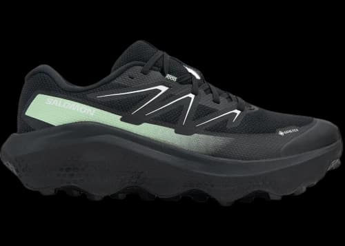 Salomon Ultra Flow 2 Gore-Tex Black Black Patina Green