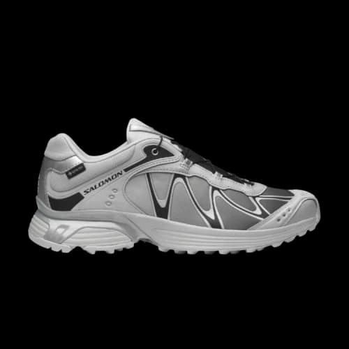 Salomon XT-Whisper Gore-Tex Gray Violet Black Silver