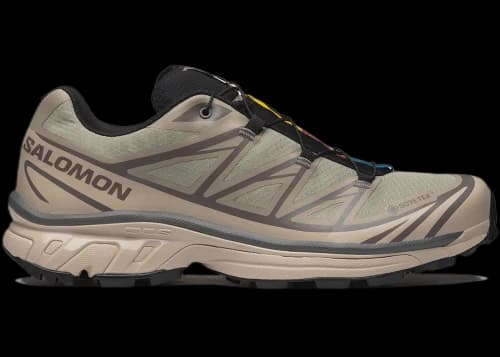 Salomon XT-6 Gore-Tex White Pepper Silver Sage