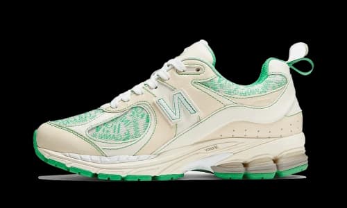 New Balance 2002R GANNI Turtledove