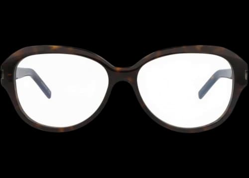 Saint Laurent Round-Frame Acetate Optical Frames Havana Havana Transparent (SL411-30009661-002)