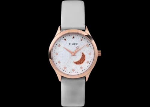 Timex Celestial TW2V49400