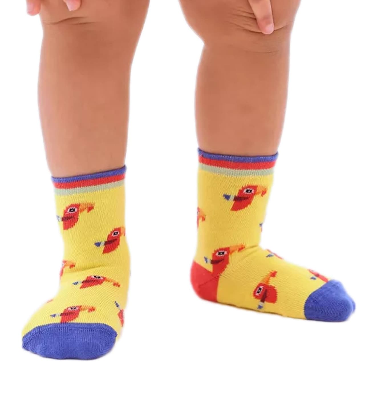 Moustard 1 pares de calcetines de algodón para niños con estampado de loros, calcetines con tope con estampado de pájaros, calcetines para bebé amarillo/azul/rojo/naranja