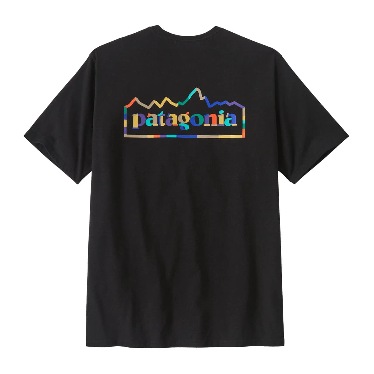 Patagonia Camiseta Unity Fitz