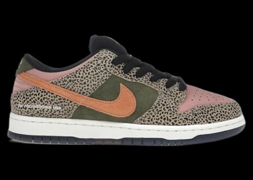 Nike SB Dunk Low Pro Arts-Rec (Special Box)