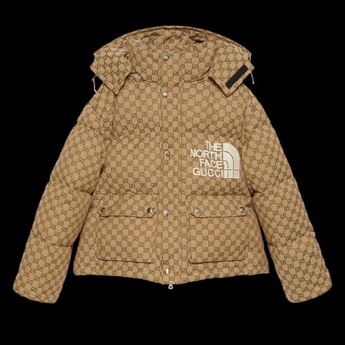 Gucci x The North Face Print Jacket 'Beige/Ebony'