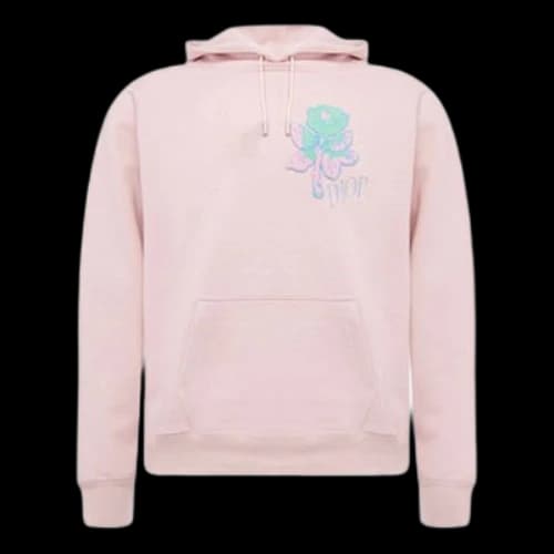DIOR Homme Cotton Patch Embroidered Casual Versatile Hooded Pullover Sweater For Men Pink