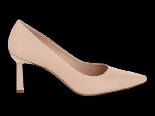 Ferragamo Justina Pointed Toe Pumps Petalo (Women's)