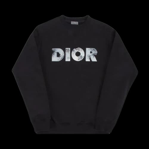 Dior Arsham Logo Crewneck T-Shirt 'Black'
