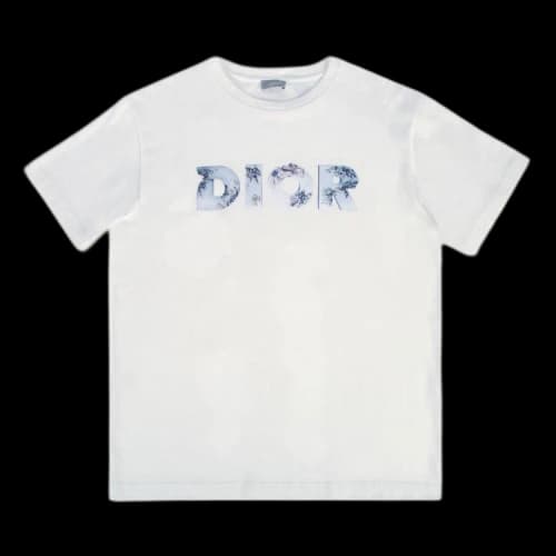 Dior Arsham Logo T-Shirt 'White'