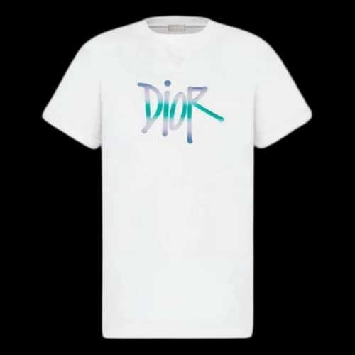 DIOR And Shawn Gradient Letter Logo Print For Men White