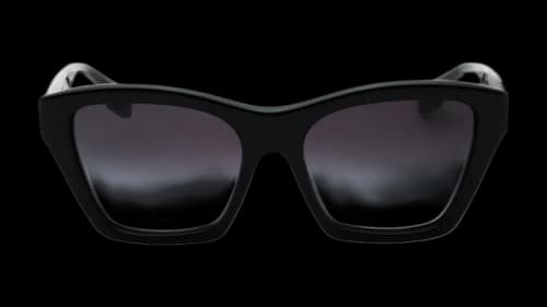 Burberry Dark Lens 0BE4391 30018G Sunglasses Black
