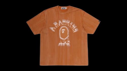 BAPE Brush College Relaxed Fit T-shirt Sorrel