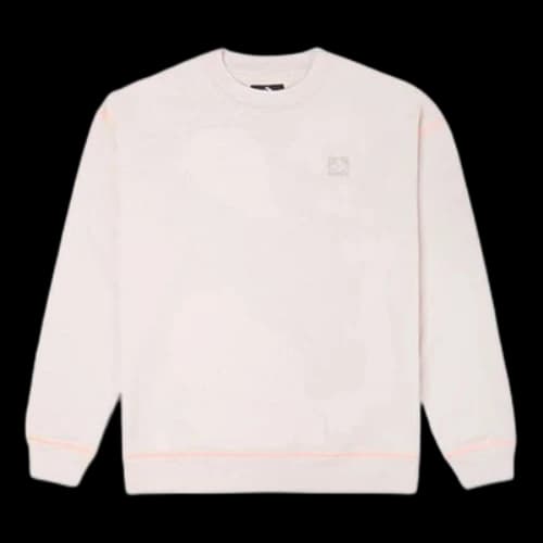 Converse Renew Graphic Crewneck Sweatshirt 'Silt Red'
