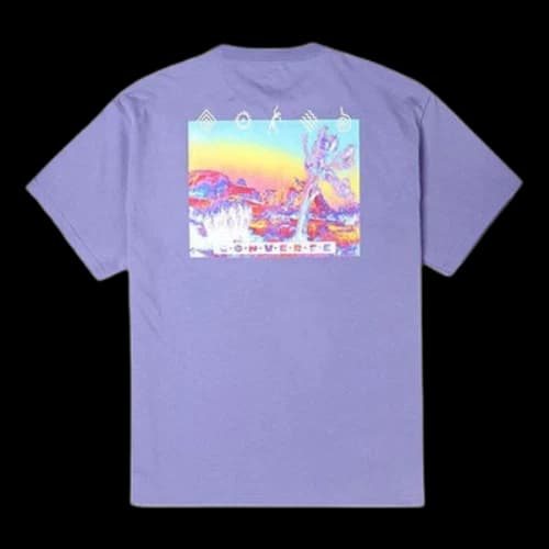 Converse Inverted Desert Graphic T-Shirt 'Slate Lilac'
