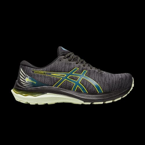 ASICS GT-2000 11 Gore-Tex Black Ink Teal