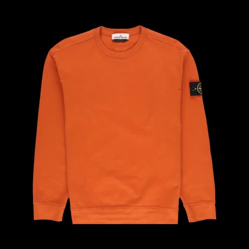 Stone Island Overdyed Crewneck 'Sienna'