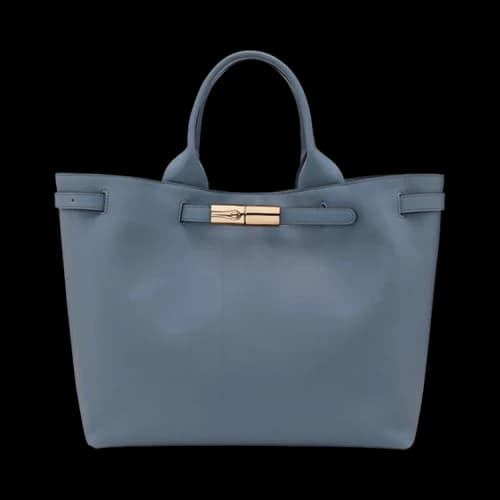 Longchamp Le Smart L Handbag 'Slate'