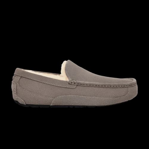 UGG Ascot Slipper Grey