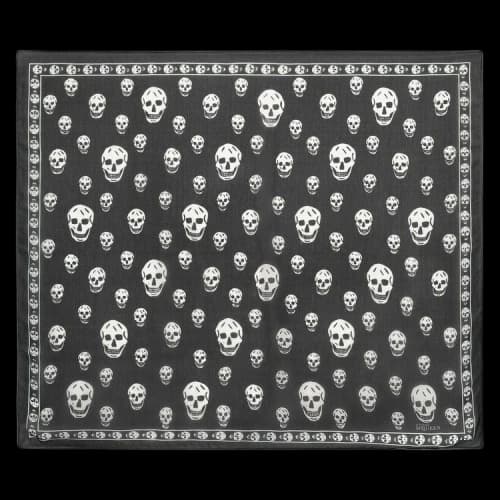 Alexander McQueen Skull Silk Scarf 'Black'