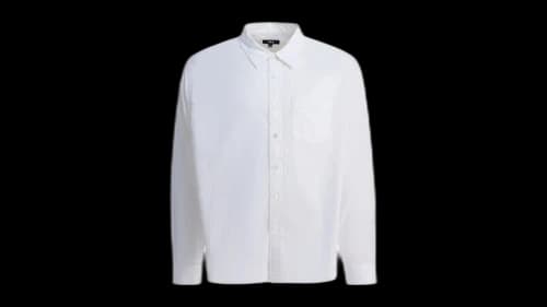 Stussy Oxford Long Sleeve Shirt White