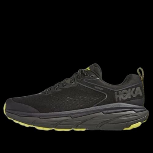HOKA ONE ONE Challenger ATR 6 GTX 'Black Grass Green'
