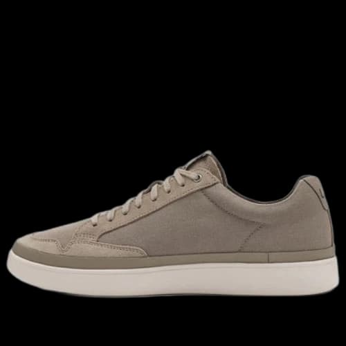 UGG South Bay Sneaker Low Canvas 'Dune'