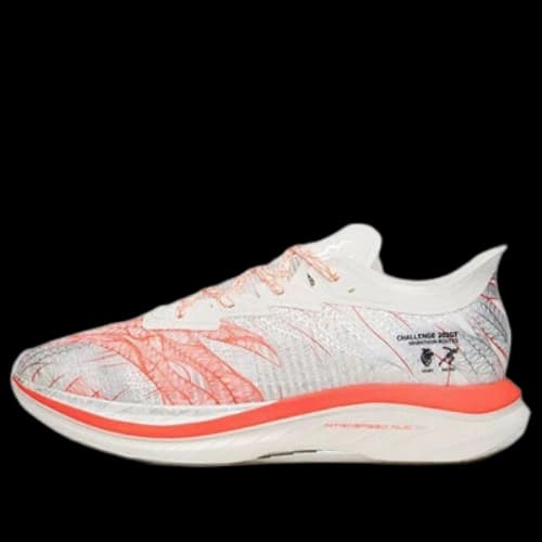ANTA C202 GT Low 'Heartbeat White Red Silver'