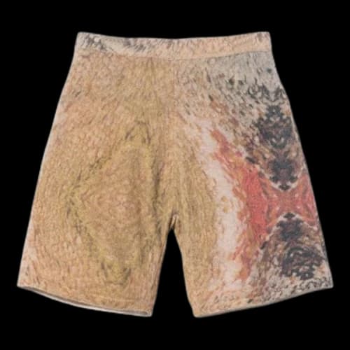 Stussy Wings Print Knit Short 'Multi'