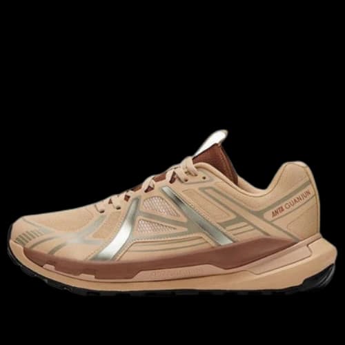 ANTA Champion 'Brown Silver'