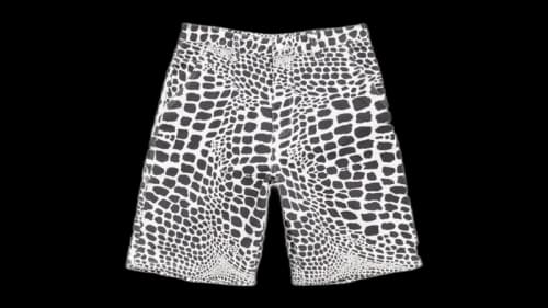 Stussy Canvas Work Short Safari
