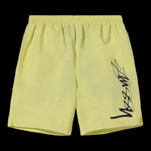 Stussy Smooth Stock Water Short 'Lime'