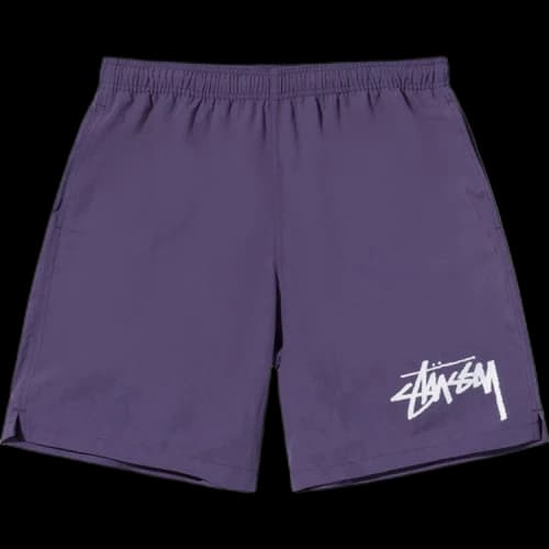 Stussy Big Stock Water Shorts Purple