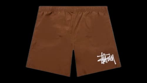 Stussy Water Big Basic Short Coffee