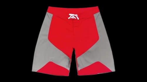 Stussy Octane Board Short Red