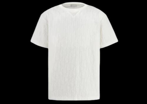 Dior Oversized Oblique T-shirt White